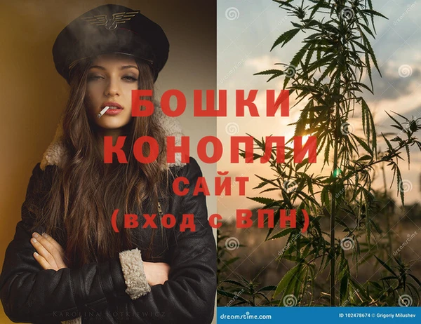 шишки Медногорск