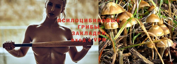 дурь Мегион