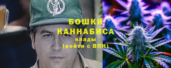 дурь Мегион