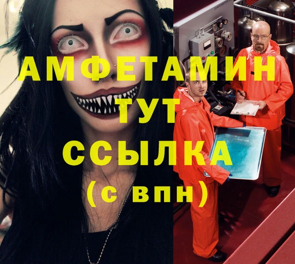 шишки Медногорск