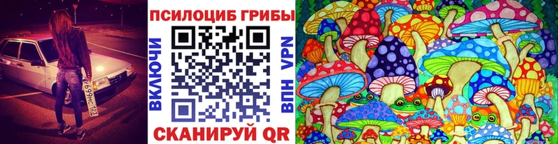 мега ТОР  Нестеров  Псилоцибиновые грибы прущие грибы  дарнет шоп 