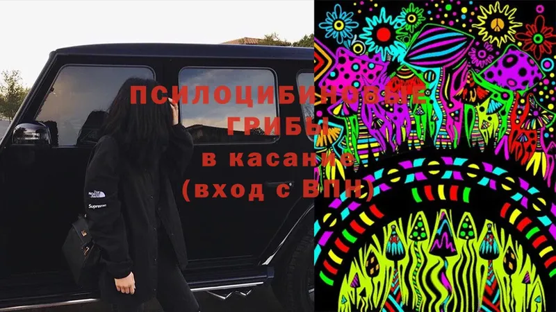 Псилоцибиновые грибы Magic Shrooms  Нестеров 