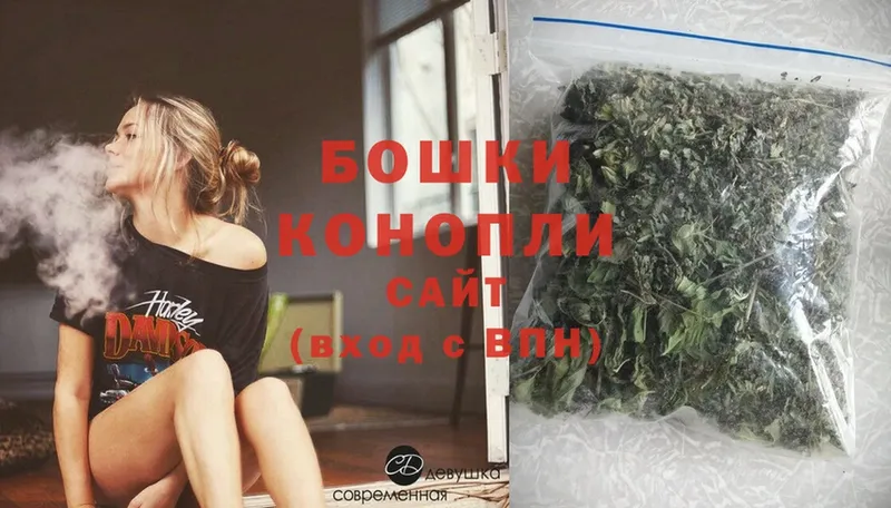 Шишки марихуана OG Kush  купить  цена  Нестеров 